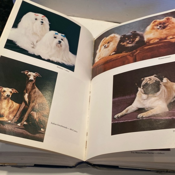“The Complete Dog Book,” Hardcover with Dust Jacket plus Plastic Wrap - Picture 3 of 9